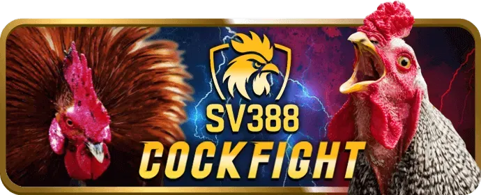 Mạng xã hội 86bet Code